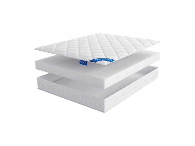 Edelweiss CLASSICO H-10 фото